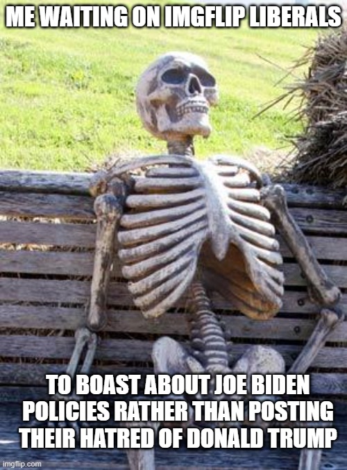 Liberal numbskulls are 100% driven by feelings | ME WAITING ON IMGFLIP LIBERALS; TO BOAST ABOUT JOE BIDEN POLICIES RATHER THAN POSTING THEIR HATRED OF DONALD TRUMP | image tagged in waiting skeleton,liberals,democrats,woke,leftists,dimwits | made w/ Imgflip meme maker