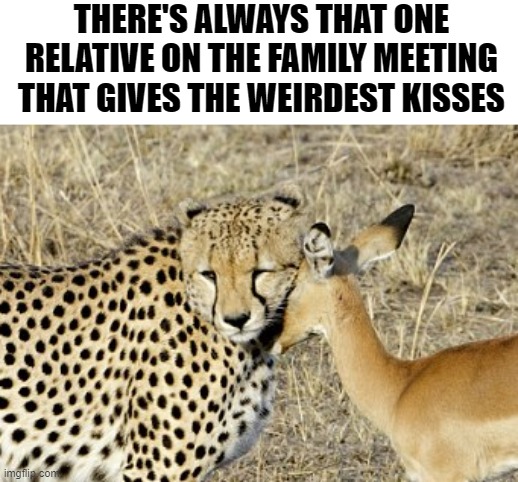 You know who it is |  THERE'S ALWAYS THAT ONE RELATIVE ON THE FAMILY MEETING THAT GIVES THE WEIRDEST KISSES | image tagged in memes,funny,cheetah,deer,relatives | made w/ Imgflip meme maker