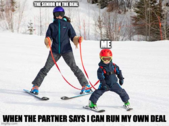 THE SENIOR ON THE DEAL; ME; WHEN THE PARTNER SAYS I CAN RUN MY OWN DEAL | image tagged in new | made w/ Imgflip meme maker