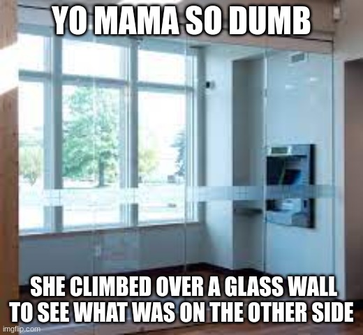YO MAMA SO DUMB; SHE CLIMBED OVER A GLASS WALL TO SEE WHAT WAS ON THE OTHER SIDE | made w/ Imgflip meme maker