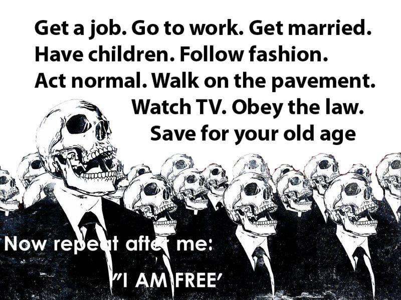 image tagged in funny