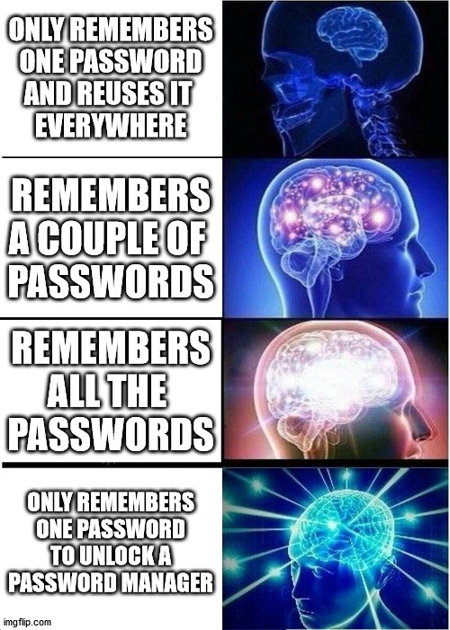 Mastering passwords | ONLY REMEMBERS ONE PASSWORD AND REUSES IT 
EVERYWHERE; REMEMBERS A COUPLE OF 
PASSWORDS; REMEMBERS ALL THE 
PASSWORDS; ONLY REMEMBERS ONE PASSWORD TO UNLOCK A
PASSWORD MANAGER | image tagged in memes,expanding brain | made w/ Imgflip meme maker