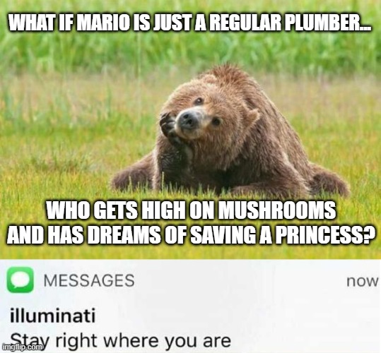 Stop right there! | WHAT IF MARIO IS JUST A REGULAR PLUMBER... WHO GETS HIGH ON MUSHROOMS AND HAS DREAMS OF SAVING A PRINCESS? | image tagged in bear thinking,illuminati text,memes,mario,funny,deep thoughts | made w/ Imgflip meme maker