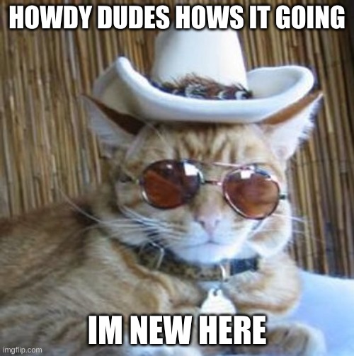 Howdy | HOWDY DUDES HOWS IT GOING; IM NEW HERE | image tagged in howdy | made w/ Imgflip meme maker