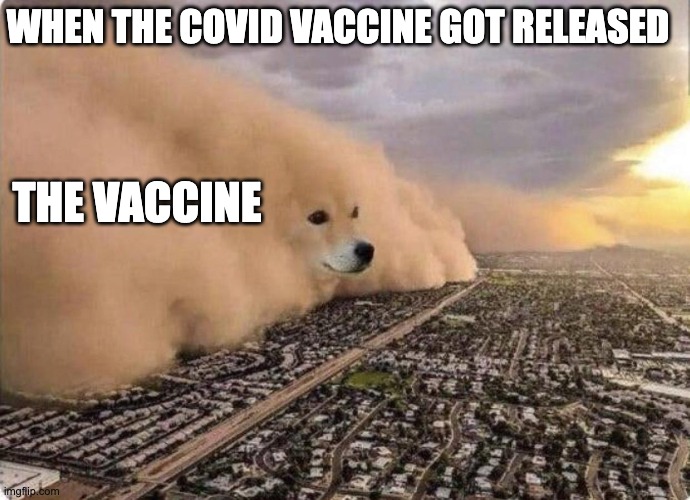 When the covid vaccine got released. |  WHEN THE COVID VACCINE GOT RELEASED; THE VACCINE | image tagged in doge cloud,vaccine,good boi | made w/ Imgflip meme maker