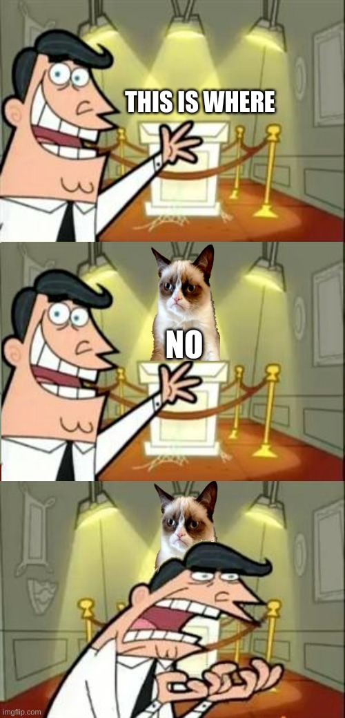 THIS IS WHERE; NO | image tagged in this is where i'd put my trophy if i had one,grumpy cat,is this a pigeon,well yes but actually no,one does not simply,oh no | made w/ Imgflip meme maker