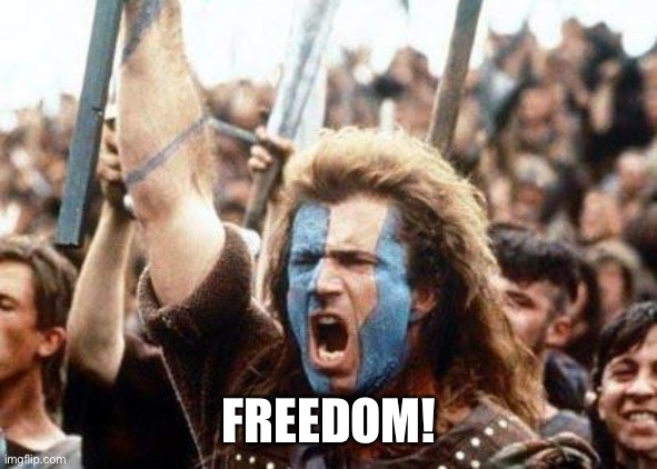 William Wallace | FREEDOM! | image tagged in william wallace | made w/ Imgflip meme maker