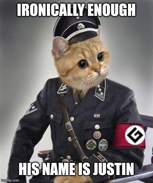 Grammar Nazi Cat | IRONICALLY ENOUGH; HIS NAME IS JUSTIN | image tagged in grammar nazi cat | made w/ Imgflip meme maker