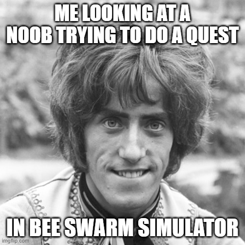 Who Are You? | ME LOOKING AT A NOOB TRYING TO DO A QUEST; IN BEE SWARM SIMULATOR | image tagged in who are you | made w/ Imgflip meme maker