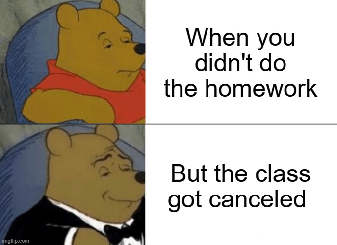 Sometimes its better not to do anything | When you didn't do the homework; But the class got canceled | image tagged in memes,tuxedo winnie the pooh,homework,school meme | made w/ Imgflip meme maker