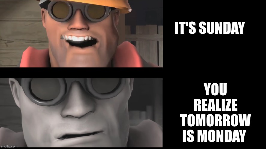 True man | IT'S SUNDAY; YOU REALIZE TOMORROW IS MONDAY | image tagged in engineer | made w/ Imgflip meme maker