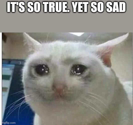 crying cat | IT'S SO TRUE. YET SO SAD | image tagged in crying cat | made w/ Imgflip meme maker