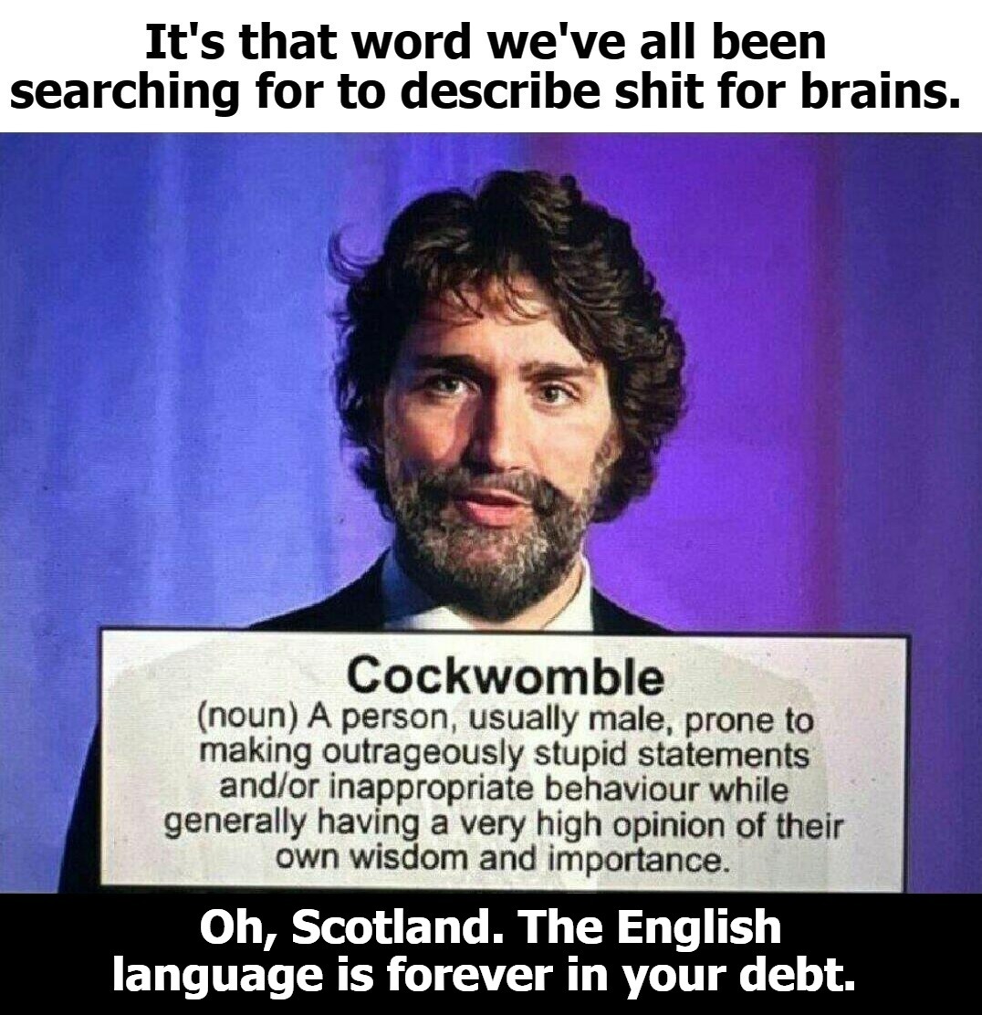 Meet the Cockwomble personified. | image tagged in justin trudeau,meanwhile in canada,cockwomble,shit for brains,ew i stepped in shit,shitpost | made w/ Imgflip meme maker