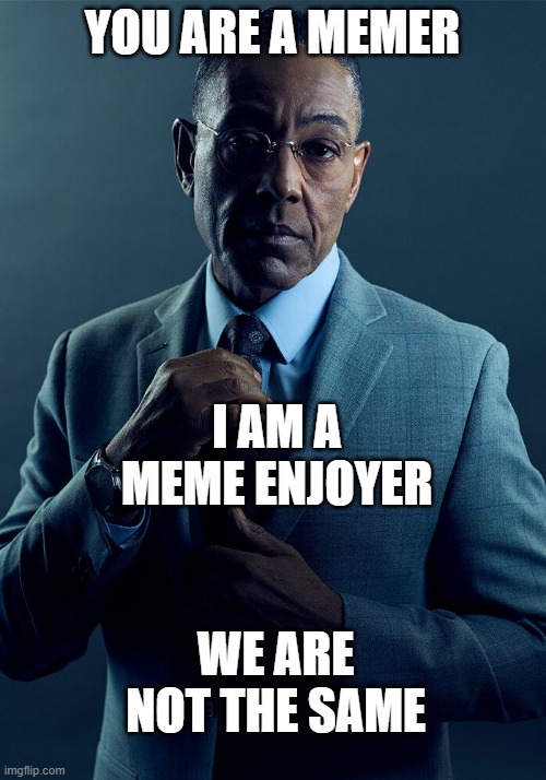 Gus Fring we are not the same | YOU ARE A MEMER; I AM A MEME ENJOYER; WE ARE NOT THE SAME | image tagged in gus fring we are not the same | made w/ Imgflip meme maker