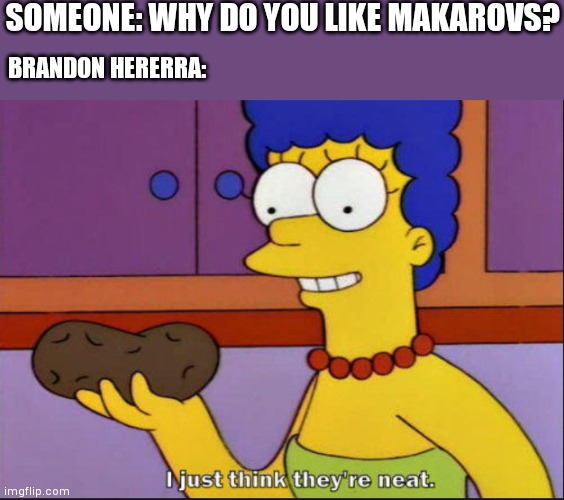 Chances are nobody's going to get this, but I just felt like posting this | SOMEONE: WHY DO YOU LIKE MAKAROVS? BRANDON HERERRA: | image tagged in i just think they're neat | made w/ Imgflip meme maker