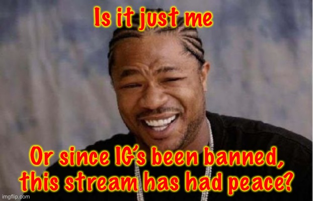 Just feels like peace. | Is it just me; Or since IG’s been banned, this stream has had peace? | image tagged in memes,yo dawg heard you | made w/ Imgflip meme maker