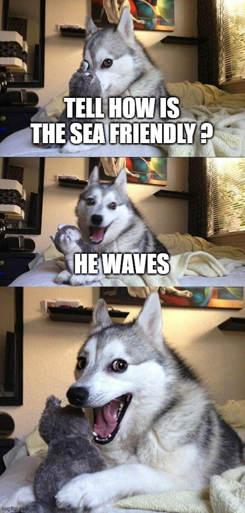 dad jokes in a nutshell | TELL HOW IS THE SEA FRIENDLY ? HE WAVES | image tagged in memes,bad pun dog | made w/ Imgflip meme maker