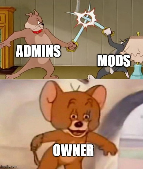 owner be like ban them all | ADMINS; MODS; OWNER | image tagged in tom and jerry swordfight | made w/ Imgflip meme maker