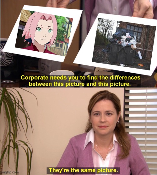 They're The Same Picture | image tagged in memes,they're the same picture | made w/ Imgflip meme maker