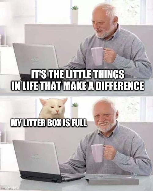  IT'S THE LITTLE THINGS IN LIFE THAT MAKE A DIFFERENCE; MY LITTER BOX IS FULL | image tagged in hide the pain harold,smudge the cat,life,litter box,cats,i should buy a boat cat | made w/ Imgflip meme maker