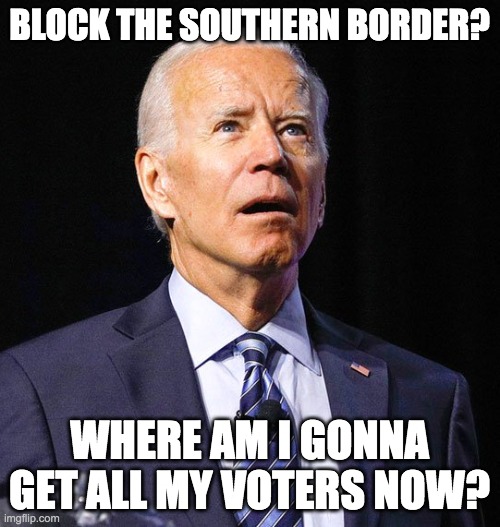 Joe Biden | BLOCK THE SOUTHERN BORDER? WHERE AM I GONNA GET ALL MY VOTERS NOW? | image tagged in joe biden | made w/ Imgflip meme maker