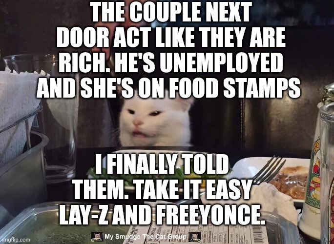 THE COUPLE NEXT DOOR ACT LIKE THEY ARE RICH. HE'S UNEMPLOYED AND SHE'S ON FOOD STAMPS; I FINALLY TOLD THEM. TAKE IT EASY LAY-Z AND FREEYONCE. | image tagged in smudge the cat | made w/ Imgflip meme maker