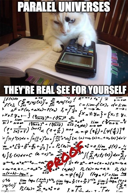 Math cat | PARALEL UNIVERSES; THEY'RE REAL SEE FOR YOURSELF; PROOF | image tagged in math cat | made w/ Imgflip meme maker