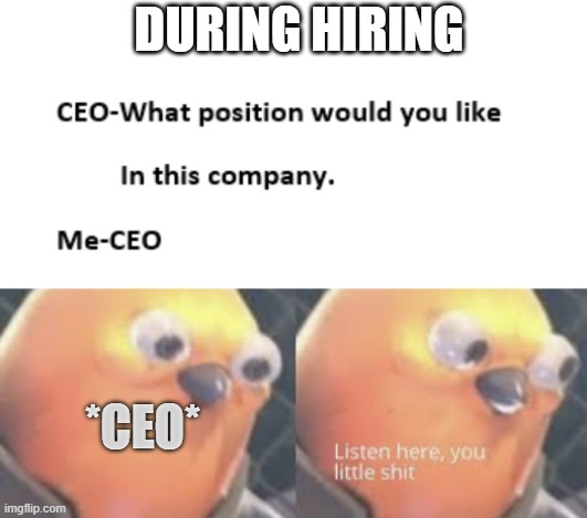 He wasn't expecting that !! | DURING HIRING; *CEO* | image tagged in listen here you little shit bird,savage memes,memes,funny memes | made w/ Imgflip meme maker
