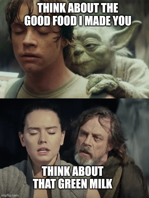 Jedi training | THINK ABOUT THE GOOD FOOD I MADE YOU; THINK ABOUT THAT GREEN MILK | image tagged in star wars,yoda and luke,luke and rey | made w/ Imgflip meme maker