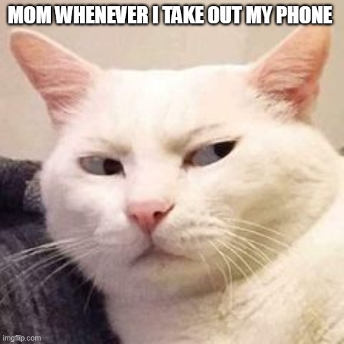 moms be like | MOM WHENEVER I TAKE OUT MY PHONE | image tagged in relatable,memes,relatable memes | made w/ Imgflip meme maker