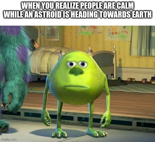 bruh | WHEN YOU REALIZE PEOPLE ARE CALM WHILE AN ASTROID IS HEADING TOWARDS EARTH | image tagged in mike wazowski bruh | made w/ Imgflip meme maker