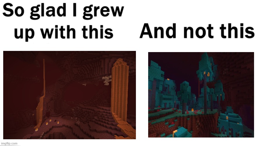 damn, it's true | image tagged in memes,so glad i grew up with this,minecraft,nether | made w/ Imgflip meme maker