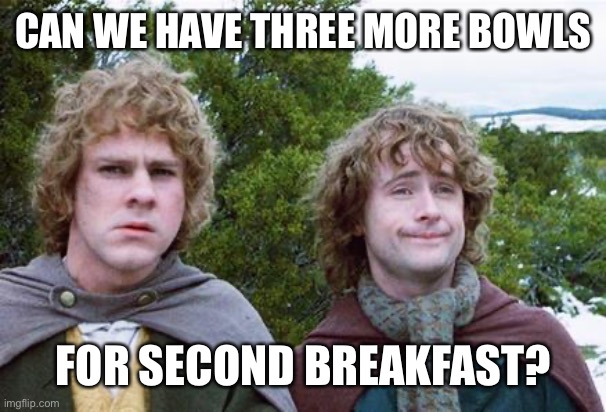 Second Breakfast | CAN WE HAVE THREE MORE BOWLS FOR SECOND BREAKFAST? | image tagged in second breakfast | made w/ Imgflip meme maker