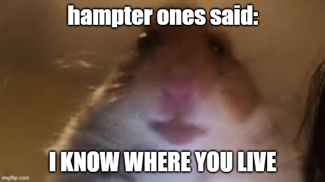 hampter ones said:; I KNOW WHERE YOU LIVE | image tagged in hampter | made w/ Imgflip meme maker