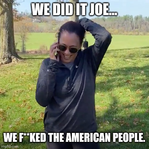 We Did It Joe | WE DID IT JOE... WE F**KED THE AMERICAN PEOPLE. | image tagged in we did it joe | made w/ Imgflip meme maker