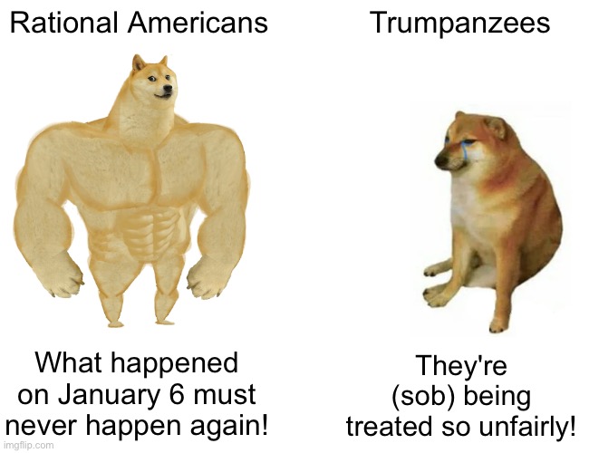 Buff Doge vs. Cheems Meme | Rational Americans Trumpanzees What happened on January 6 must never happen again! They're (sob) being treated so unfairly! | image tagged in memes,buff doge vs cheems | made w/ Imgflip meme maker
