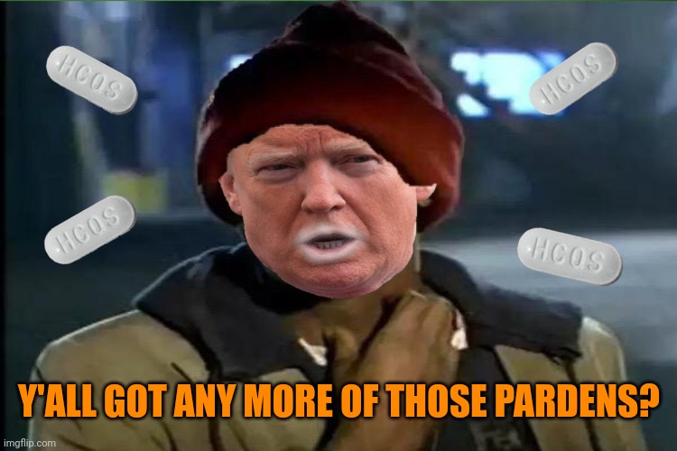 Y'all Got Any More Of That | Y'ALL GOT ANY MORE OF THOSE PARDONS? | image tagged in y'all got any more of that | made w/ Imgflip meme maker