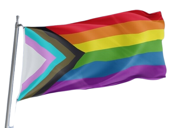 Rainbow Flag Blank Meme Template