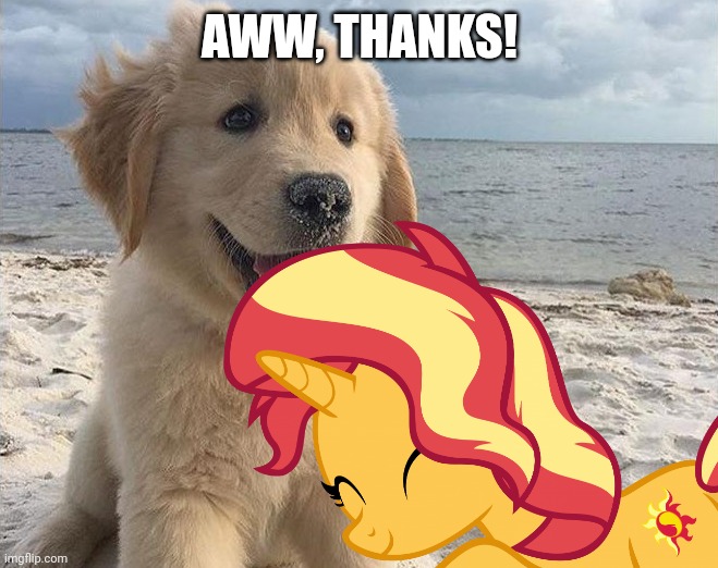 AWW, THANKS! | image tagged in dogs,cute,nuzzling sunset shimmer mlp,real life | made w/ Imgflip meme maker