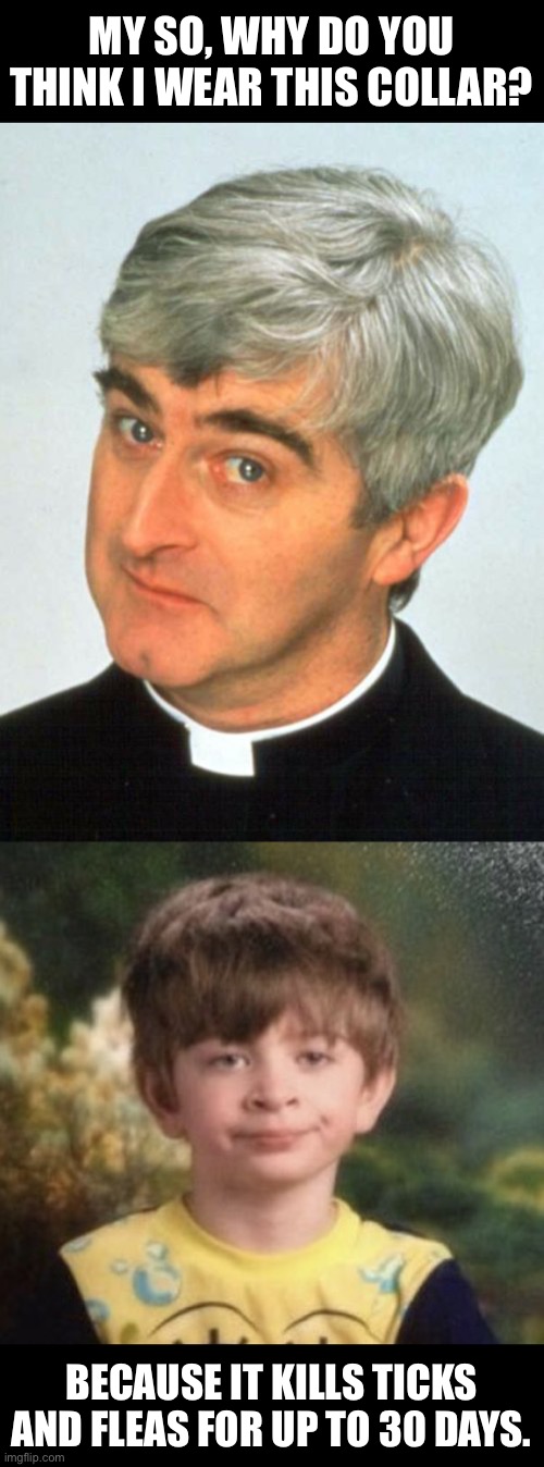 Collar | MY SO, WHY DO YOU THINK I WEAR THIS COLLAR? BECAUSE IT KILLS TICKS AND FLEAS FOR UP TO 30 DAYS. | image tagged in memes,father ted,straight faced boy | made w/ Imgflip meme maker