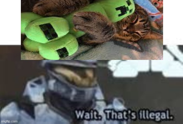 wait a minute.... | image tagged in wait thats illegal | made w/ Imgflip meme maker