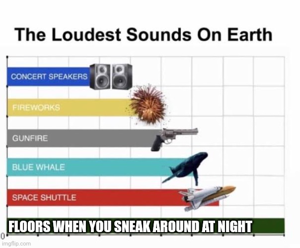 The Loudest Sounds on Earth | FLOORS WHEN YOU SNEAK AROUND AT NIGHT | image tagged in the loudest sounds on earth | made w/ Imgflip meme maker