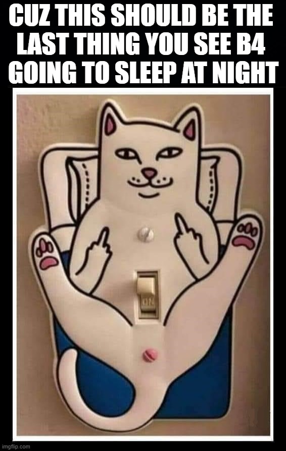 Cool lightswitch | CUZ THIS SHOULD BE THE 
LAST THING YOU SEE B4 
GOING TO SLEEP AT NIGHT | image tagged in sleeping,cat,switch | made w/ Imgflip meme maker