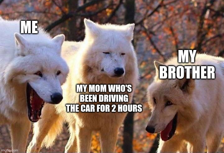 HAHAHHH | ME; MY BROTHER; MY MOM WHO'S BEEN DRIVING THE CAR FOR 2 HOURS | image tagged in laughing wolf,family | made w/ Imgflip meme maker