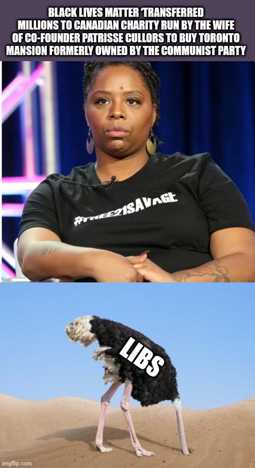 BLACK LIVES MATTER ‘TRANSFERRED MILLIONS TO CANADIAN CHARITY RUN BY THE WIFE OF CO-FOUNDER PATRISSE CULLORS TO BUY TORONTO MANSION FORMERLY OWNED BY THE COMMUNIST PARTY; LIBS | image tagged in funny memes | made w/ Imgflip meme maker