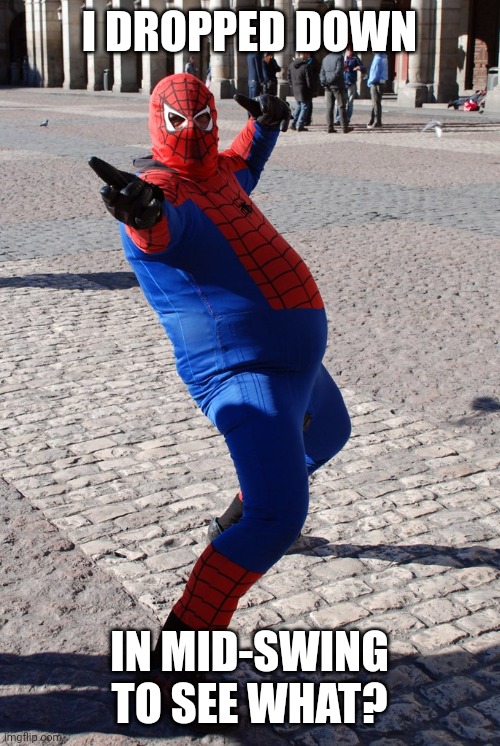 Thicc Spidey | I DROPPED DOWN IN MID-SWING TO SEE WHAT? | image tagged in thicc spidey | made w/ Imgflip meme maker