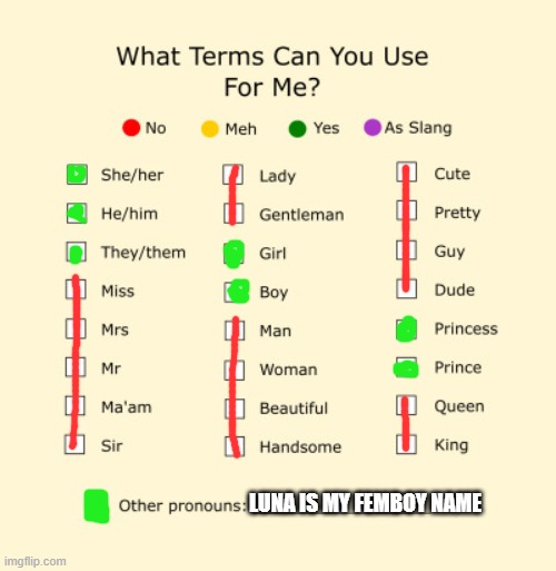 Omega is my preferred name though |  LUNA IS MY FEMBOY NAME | image tagged in pronouns sheet | made w/ Imgflip meme maker