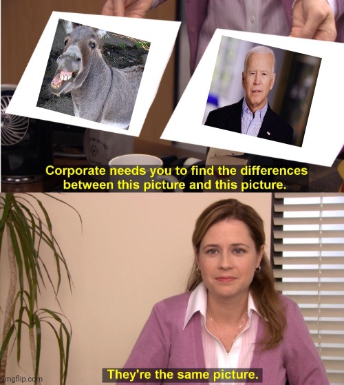 Biden the Donkey | image tagged in memes,they're the same picture | made w/ Imgflip meme maker