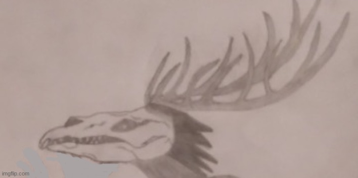 Is it possible that I could do something with this? | image tagged in furry art,deer skull | made w/ Imgflip meme maker