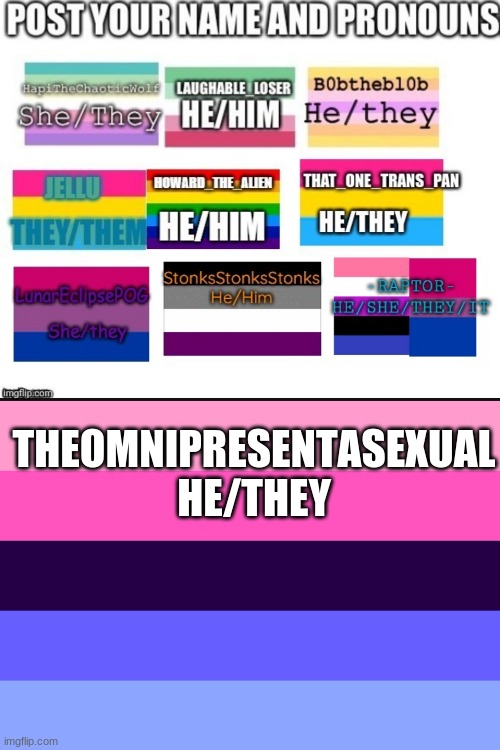 THEOMNIPRESENTASEXUAL
HE/THEY | image tagged in omni flag | made w/ Imgflip meme maker